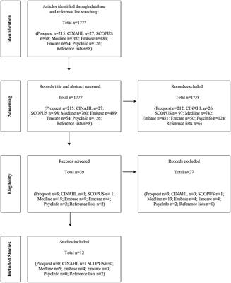 Health professional perspectives on translation of cultural safety concepts into practice: A scoping study
